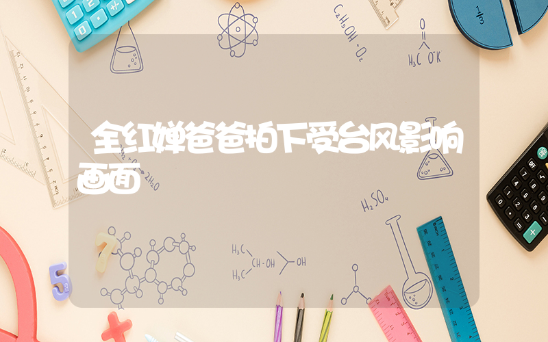 全红婵爸爸拍下受台风影响画面