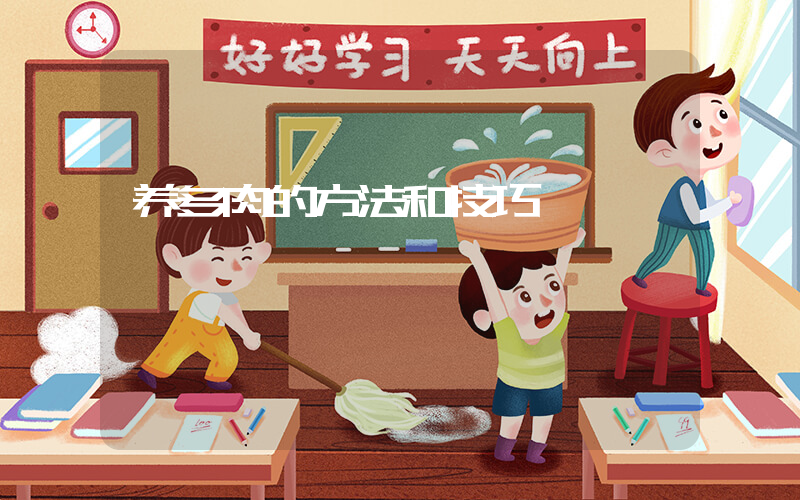 养多肉的方法和技巧