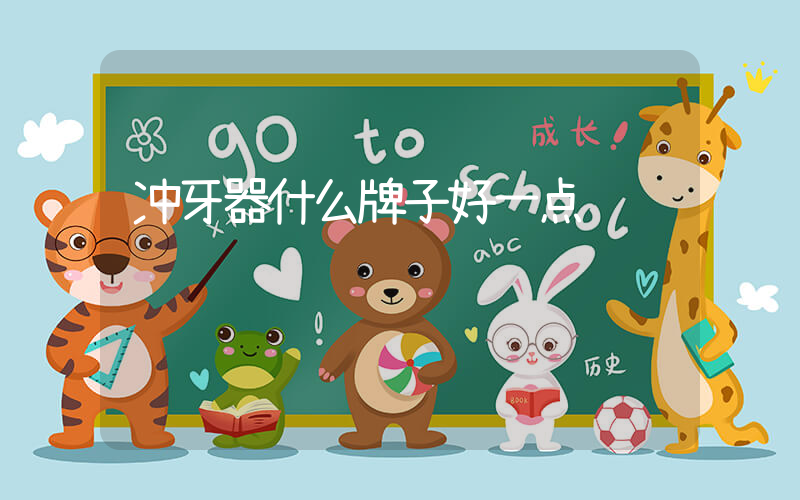 冲牙器什么牌子好一点