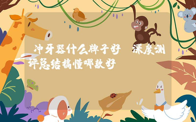 冲牙器什么牌子好？深度测评总结搞懂哪款好!