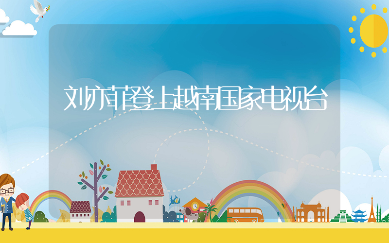 刘亦菲登上越南国家电视台