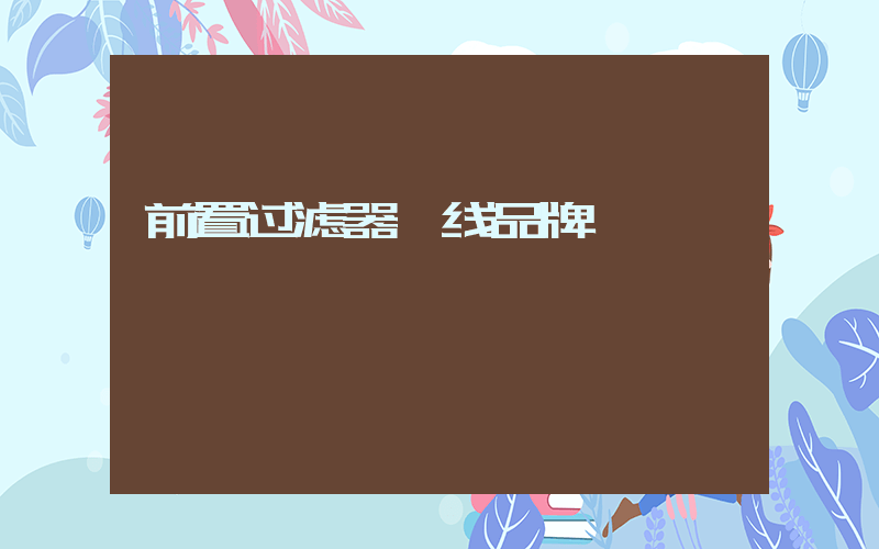 前置过滤器一线品牌