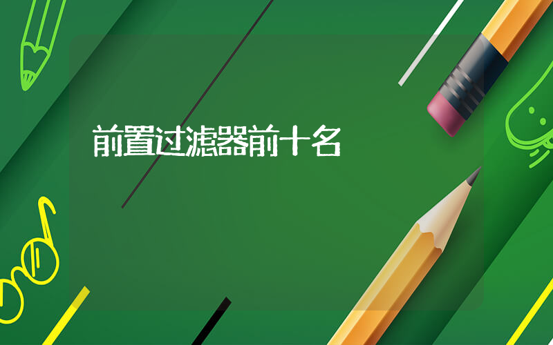 前置过滤器前十名