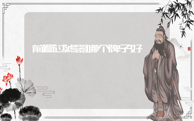 前置过滤器哪个牌子好