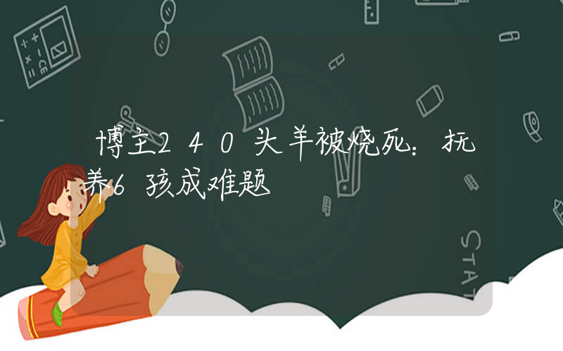 博主240头羊被烧死：抚养6孩成难题