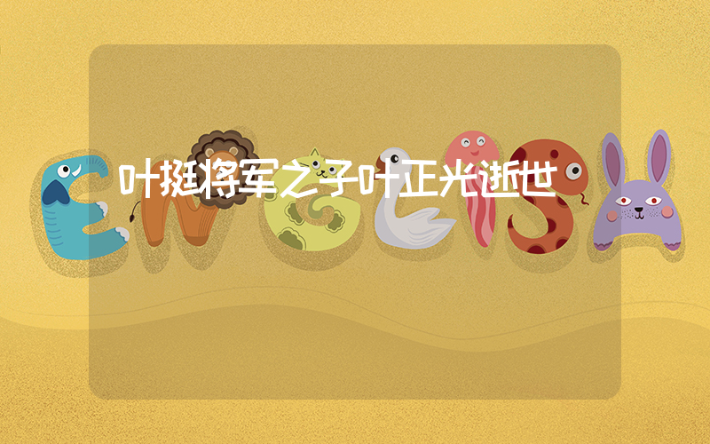 叶挺将军之子叶正光逝世