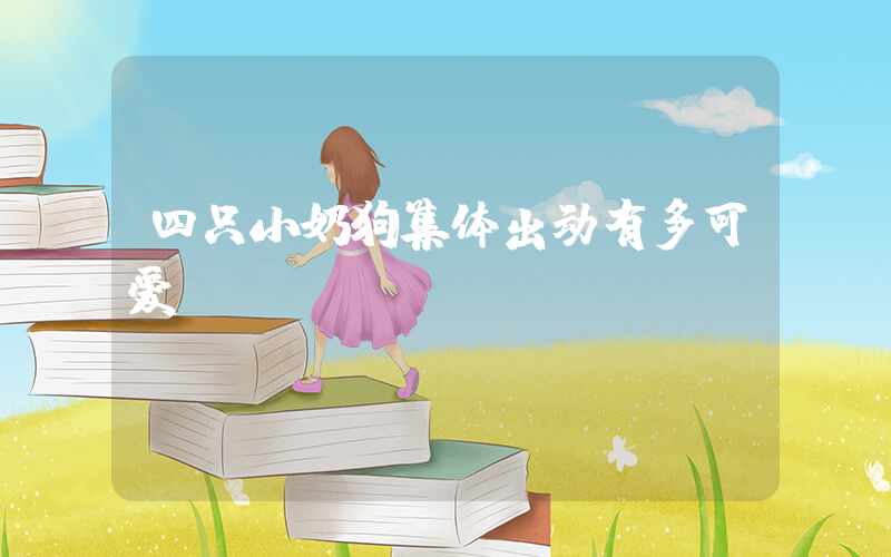 四只小奶狗集体出动有多可爱