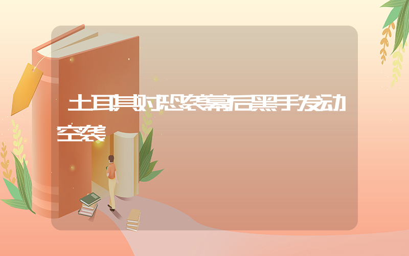 土耳其对恐袭幕后黑手发动空袭