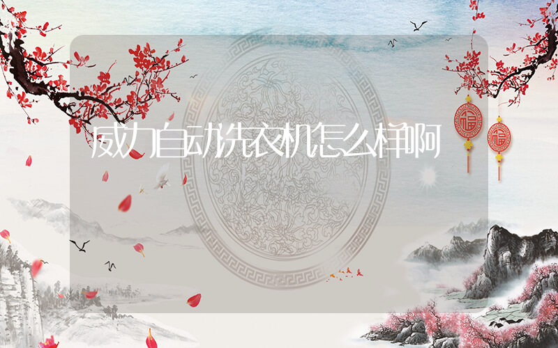 威力自动洗衣机怎么样啊