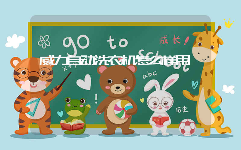 威力自动洗衣机怎么样用