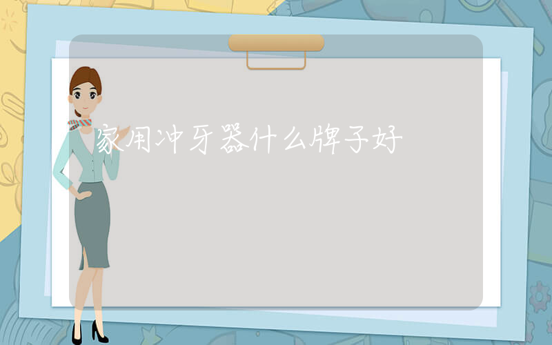 家用冲牙器什么牌子好