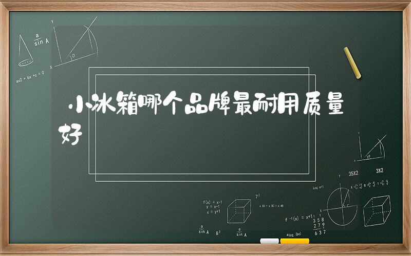 小冰箱哪个品牌最耐用质量好