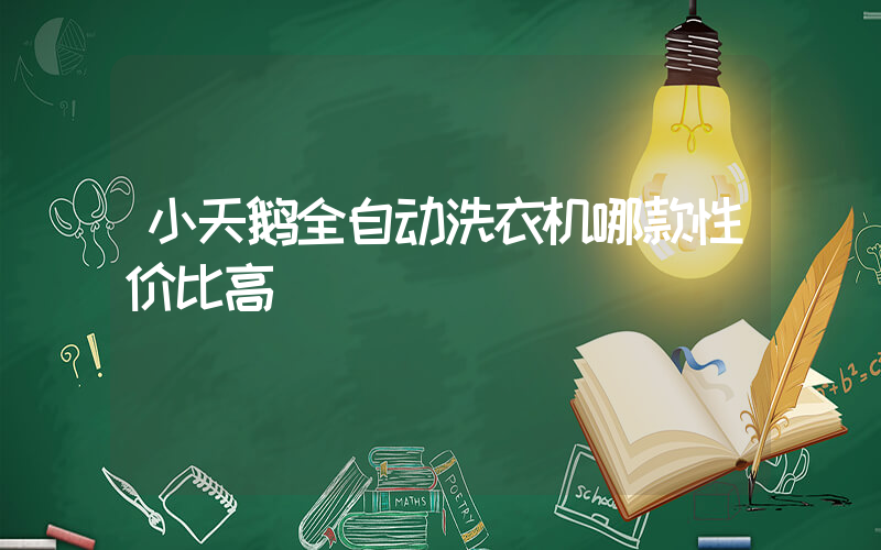 小天鹅全自动洗衣机哪款性价比高