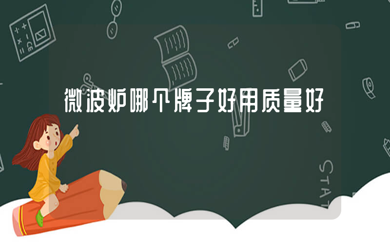 微波炉哪个牌子好用质量好