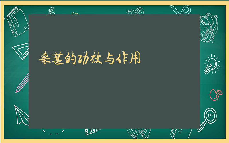 桑葚的功效与作用