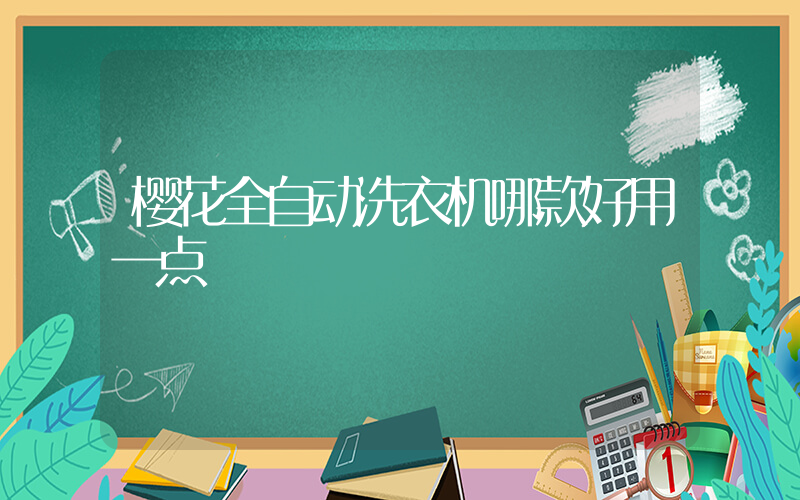 樱花全自动洗衣机哪款好用一点