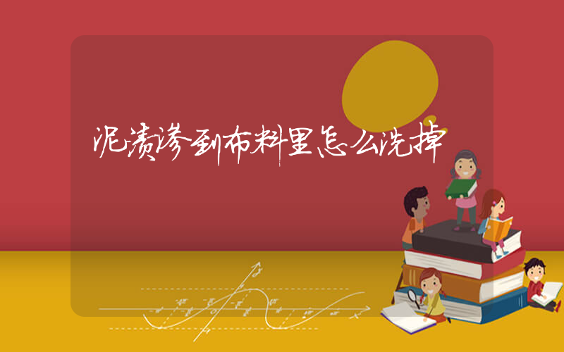 泥渍渗到布料里怎么洗掉