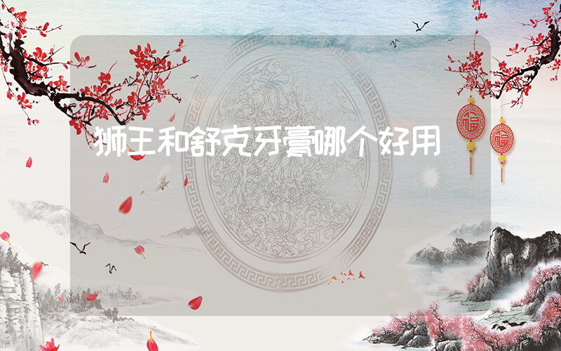 狮王和舒克牙膏哪个好用
