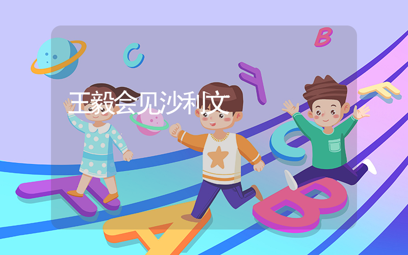 王毅会见沙利文