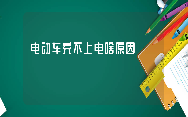 电动车充不上电啥原因