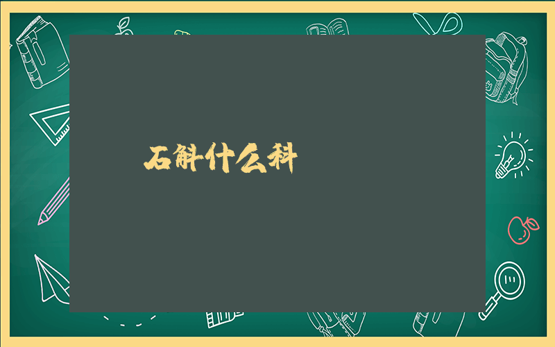 石斛什么科
