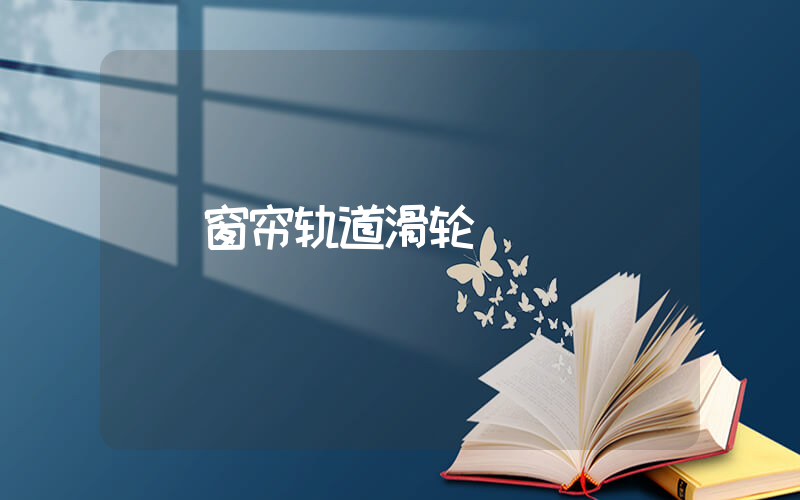窗帘轨道滑轮