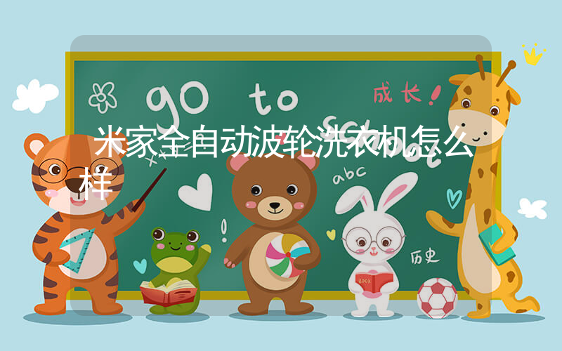 米家全自动波轮洗衣机怎么样