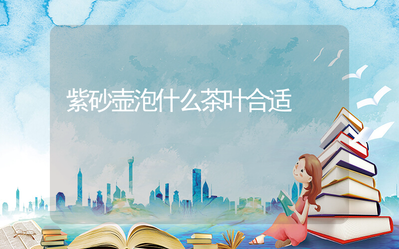 紫砂壶泡什么茶叶合适