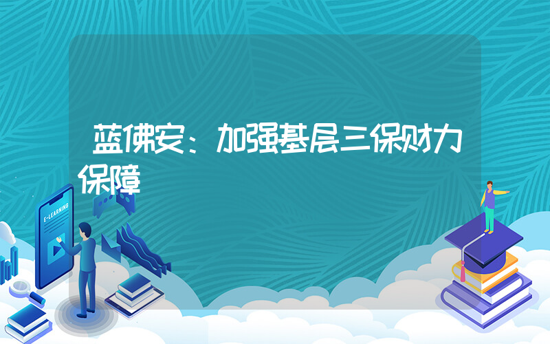 蓝佛安：加强基层三保财力保障