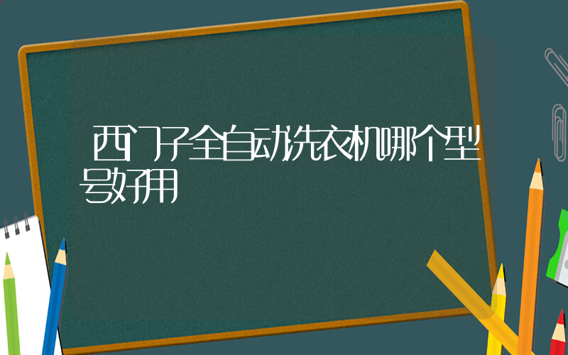 西门子全自动洗衣机哪个型号好用