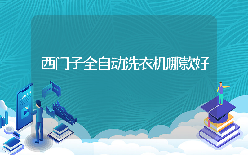 西门子全自动洗衣机哪款好