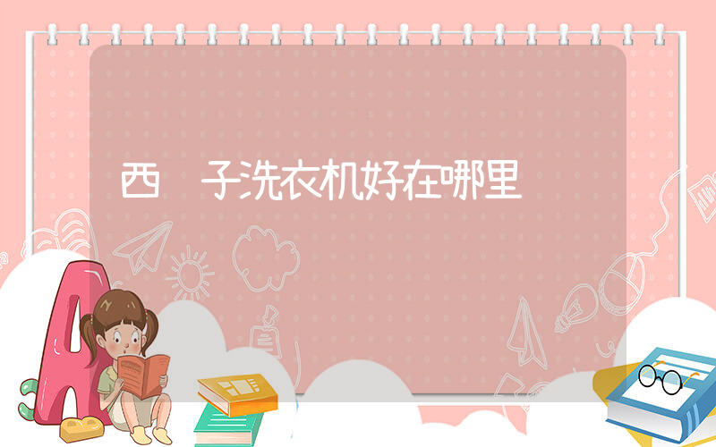 西门子洗衣机好在哪里