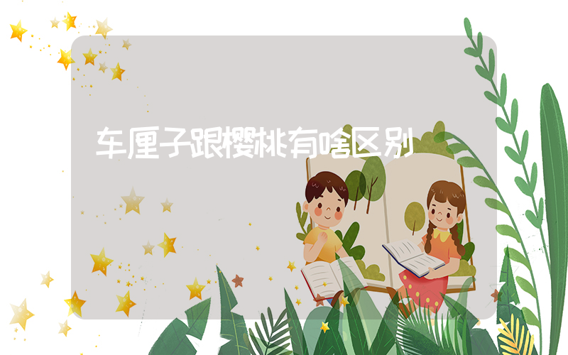 车厘子跟樱桃有啥区别