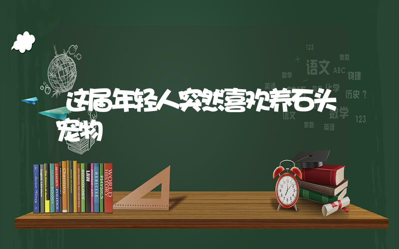 这届年轻人突然喜欢养石头宠物