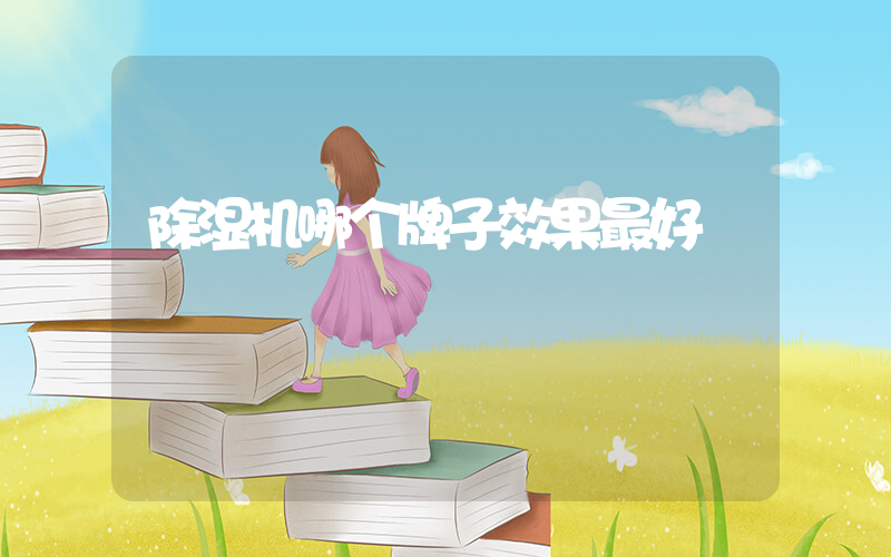 除湿机哪个牌子效果最好
