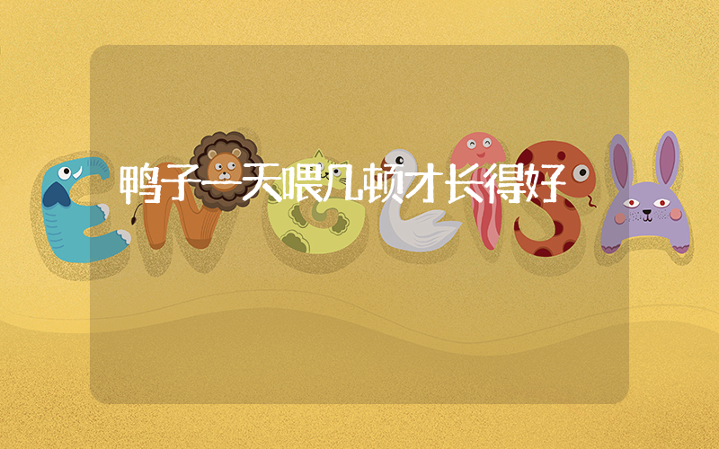 鸭子一天喂几顿才长得好