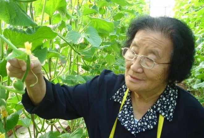94岁院士吴明珠再次来到吐鲁番