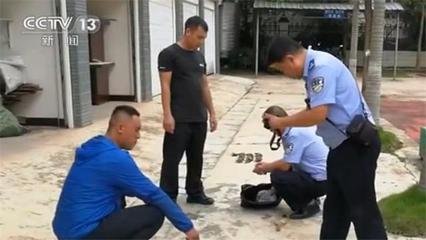 解某某等多人被采取刑事强制措施