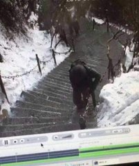 大学生游华山失联