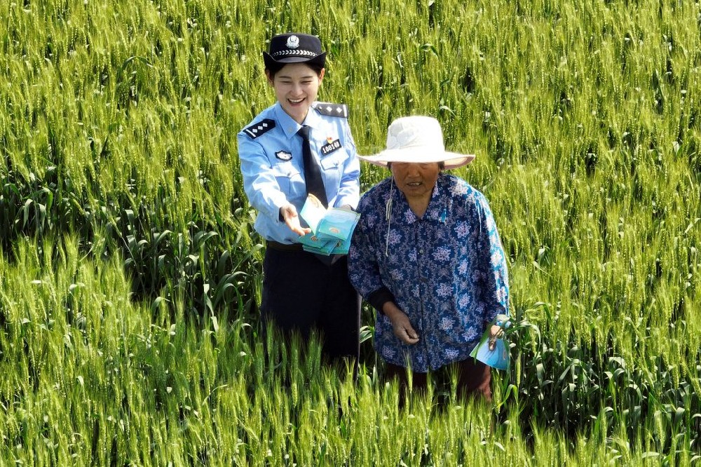 一起打开三夏好丰景