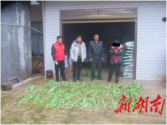 人大被举报教授早年曾有类似前科？