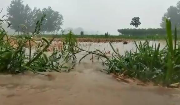 信阳发3000枚增雨弹引暴雨？假
