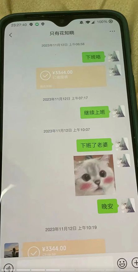 女友回应胖猫轻生