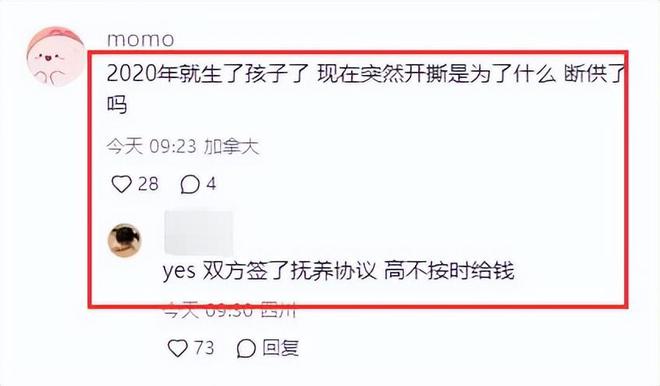 高亚麟魏嘉抚养协议
