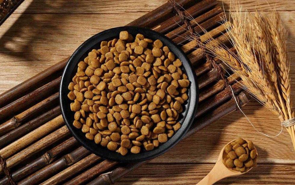 狗粮排名前十品牌,十大口碑最好的狗粮