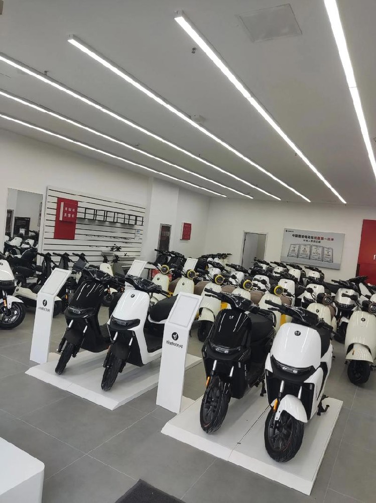 电动车十大品牌排行榜：2026 年权威选购指南