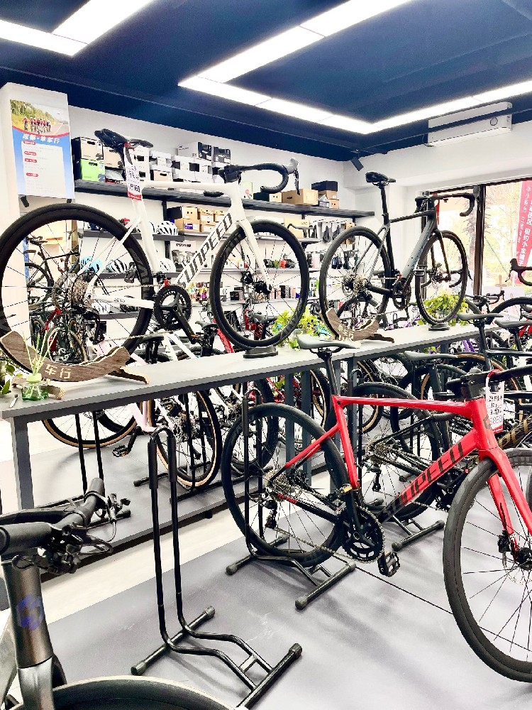 自行车十大品牌排行榜：2026 年权威选购指南