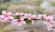每周一评 | 环保企业的“地摊”在哪儿?